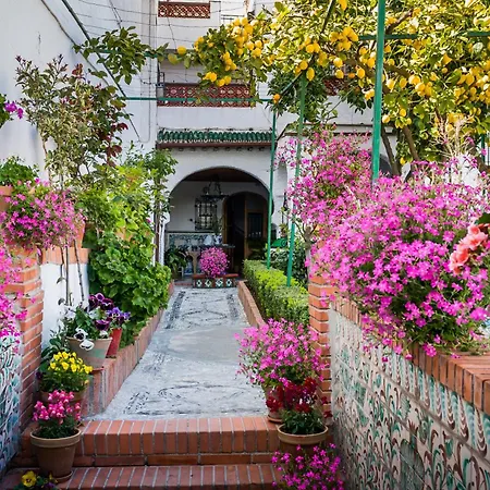 Grazaries 1 -piso Centrico Granada- アパート *